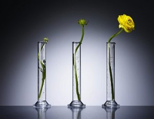 © Copyright 2012 CorbisCorporation